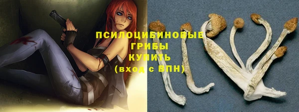 apvp Белокуриха