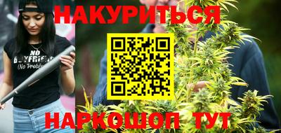 спайс Кингисепп
