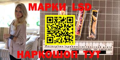 спайс Кингисепп