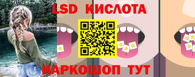 спайс Кингисепп
