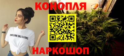 мяу мяу мука Кимры