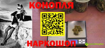 спайс Кингисепп