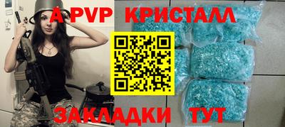 спайс Кингисепп