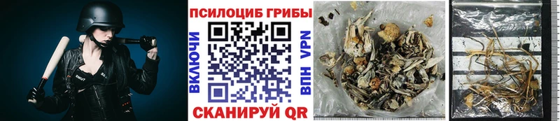 Псилоцибиновые грибы ЛСД  наркотики  блэк спрут ТОР  Коммунар 